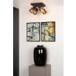LUCIDE ALION 17999/14/30 lampa sufitowa/spot wewnętrzna