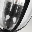 ELSTEAD ENGLISH BRIDLE FE/EB8/L BLK 3Lt Large Chain Lantern