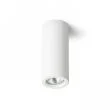 RENDL R12354 GINA S 17 sufitowa gipsowa 230V GU10 35W