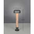 TRIO FRASER 562560135 lampa zewnętrzna stojąca