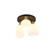 TRIO DIVA 619800308 lampa sufitowa
