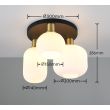 TRIO DIVA 619800308 lampa sufitowa