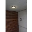 LUTEC 6382201012 ROLA lampa zewnętrzna sufitowa