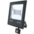 INQ FL104PCW Naświetlacz LED RALF 50W 6000K PIR