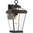 ELSTEAD Ravine QZ-RAVINE2-M Medium Wall Lantern