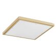 WYPRZEDAŻ ARGON 7167 CARLSON plafon 2 pł. opal mat, złoty