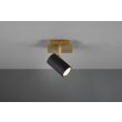 TRIO 802400180 MARLEY lampa ścienna - reflektor