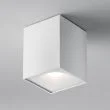 MAYTONI C030CL-01W Zoom lampa sufitowa biały