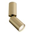 MAYTONI C051CL-01MG Ceiling & Wall FOCUS S Ceiling Lamp Mint Gold