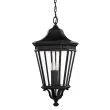 ELSTEAD COTSWOLD LANE FE/COTSLN8/L BK Large Chain Lantern