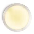 RENDL R10576 BARRY sufitowa nikiel mat 230V 2GX13 22W IP44