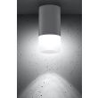 CANDELLUX 2273686 LAMPA SUFITOWA TUBA 1X50W GU10 MROŻONY+SZARY ŚR. 6,4 CM