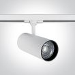 ONE LIGHT 65642CT/W/W Skalitina 3 biały track spot COB LED 3000K 30W