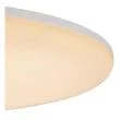 LUCIDE OLSON 79190/24/61 lampa sufitowa