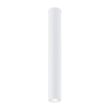 EMIBIG TECNO 1L WHITE Lampa sufitowa 1317/1L