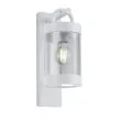 TRIO 204160131 SAMBESI lampa zewnętrzna ścienna