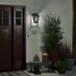 ELSTEAD Tangier KL-TANGIER2-M Medium Wall Lantern