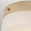 ELSTEAD Tamar TAMAR-F-L-PG 1 Light Large Flush Light - Polished Gold