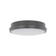 TK-LIGHTING 18088 SFERIS GRAY LAMPA SUFITOWA IP 54