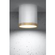 CANDELLUX 2273624 LAMPA SUFITOWA TUBA 5W LED 4000K DREWNIANY+BIAŁY ŚR. 6,8 CM