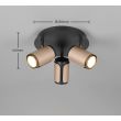 TRIO GILLAN 814530365 lampa sufitowa