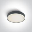 ONE LIGHT 67280E/AN Rafti plafon antracyt E27 IP65 korpus ABS i klosz PC