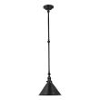 ELSTEAD Provence PV-GWP-OB 1 Light Wall Light/Pendant - Old Bronze