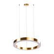 Step into design ST-8848-60+80 brass Lampa wisząca CIRCLE 60+80 LED mosiądz na 1 podsufitce