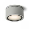 RENDL R10429 MERIDO sufitowa srebrnoszara 230V GX53 11W IP44