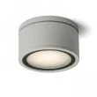 RENDL R10429 MERIDO sufitowa srebrnoszara 230V GX53 11W IP44