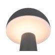 RL FUNGO R57716142 LAMPA ZEWNĘTRZNA PRZENOŚNA antracyt