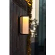 LUTEC ADALYN 5193602118 LAMPA ŚCIENNA ZEWNĘTRZNA