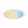 WYPRZEDAŻ PAULMANN 92801 HomeSpa Panel IP65 okrągły 3-st regulacja temperatury 1x9W 230/12V 180mm Biały Mat/Tworzywo sztuczne plafon