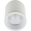 MAXLIGHT TUB plafon C0155