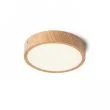 RENDL R12799 HUE R 17 sufitowa kolor buk 230V LED 18W 3000K