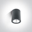 ONE LIGHT 67138C/AN/W Modi zewnętrzny cylinder sufitowy antracyt 3000K 6W IP54
