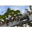LUTEC ARROW 6910601335 LAMPA ŚCIENNA ZEWNĘTRZNA