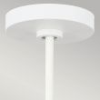ELSTEAD Darwin FE-DARWIN-P 1 Light Pendant - Matte White