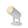 LUCIDE TAYLOR 09832/01/31 lampa ogrodowa zewnętrzna