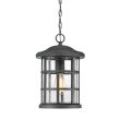 ELSTEAD Crusade QZ-CRUSADE8-BLK 1 Light Chain Lantern