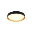 WYPRZEDAŻ RL FELIS R64391080 LAMPA SUFITOWA czarny