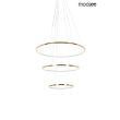 MOOSEE MSE1501100161 lampa wisząca RING SLIM S złota