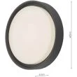 DAR RAL5039 RALPH ROUND FLUSH LRG ANTHRACITE IP65 LED