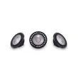 AZZARDO AZ3366 WIFI LED ES111 15W BLACK 4000K żarówka czarny