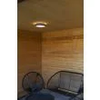 LUTEC 5205801012 LAMPA ZEWNĘTRZNA SUFITOWAGOLETA