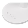 RL R52671101 LAMPA STOJĄCA BIURKOWA SALLY