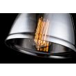 MAYTONI T163-01-C Pendant Irving Wall Lamp Black