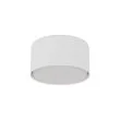 TK-LIGHTING 11061 TOP WHITE LAMPA SUFITOWA 1XGX53