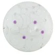 CANDELLUX 13-58997 ASTRO PLAFON 30 1X10W LED 4000K FIOLETOWY 860 LM
