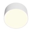 MAYTONI Lampa sufitowa C032CL-12W3K-RD-W